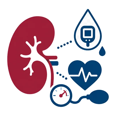 Control renal en diabetes e hipertensión