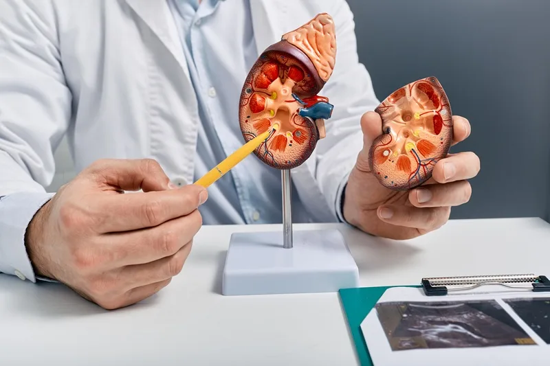 Consulta medica de enfermedades relacionadas al riñon